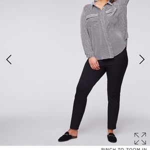 BiStretch Dress Pants with Gold Detail